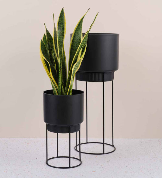 Dark Grey Elho Planter on Stand