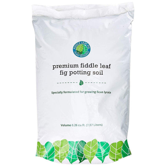 Premium Fiddle Leaf Fig Potting Soil